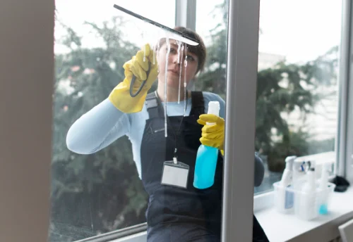 Nettoyage de vitres intérieures et extérieures à Chanat-la-Mouteyre